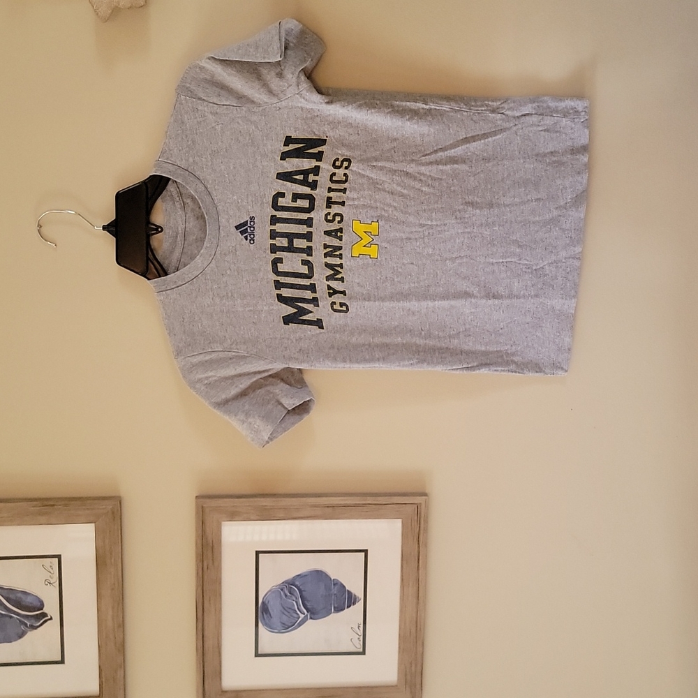 University of Michigan S/8